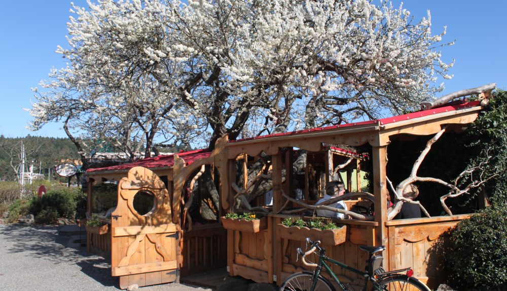 Tree House Cafe